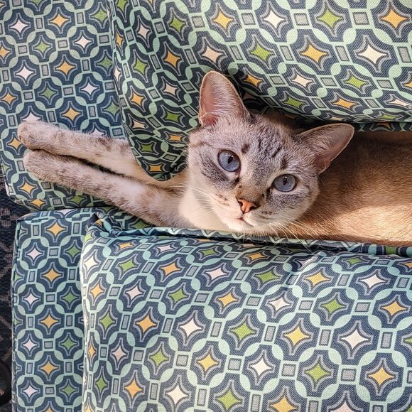 CLOSET CLEAN OUT ~ MAKE AN OFFER!!! - Picture 1 of 1